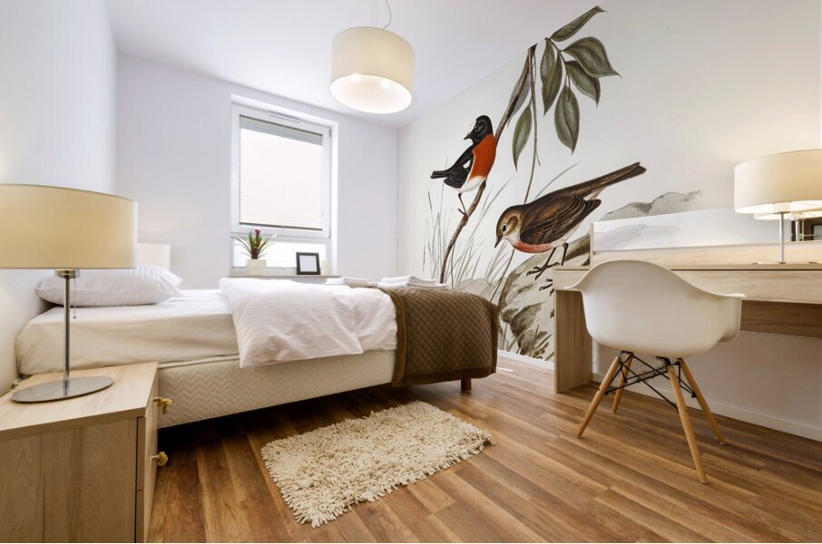 Norfolk Island Robin Petroica erythrogastra illustrated by Elizabeth Gould 1804–1841 for John Gould’s 1804-1881 Birds of Australia  Mural print