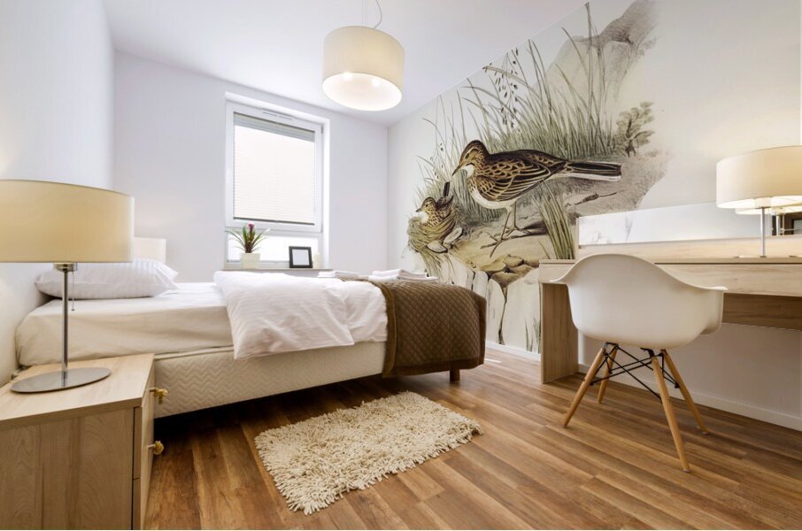 Australian Pipit Anthus Australis illustrated by Elizabeth Gould 1804–1841 for John Gould’s 1804-1881 Birds of Australia  Mural print