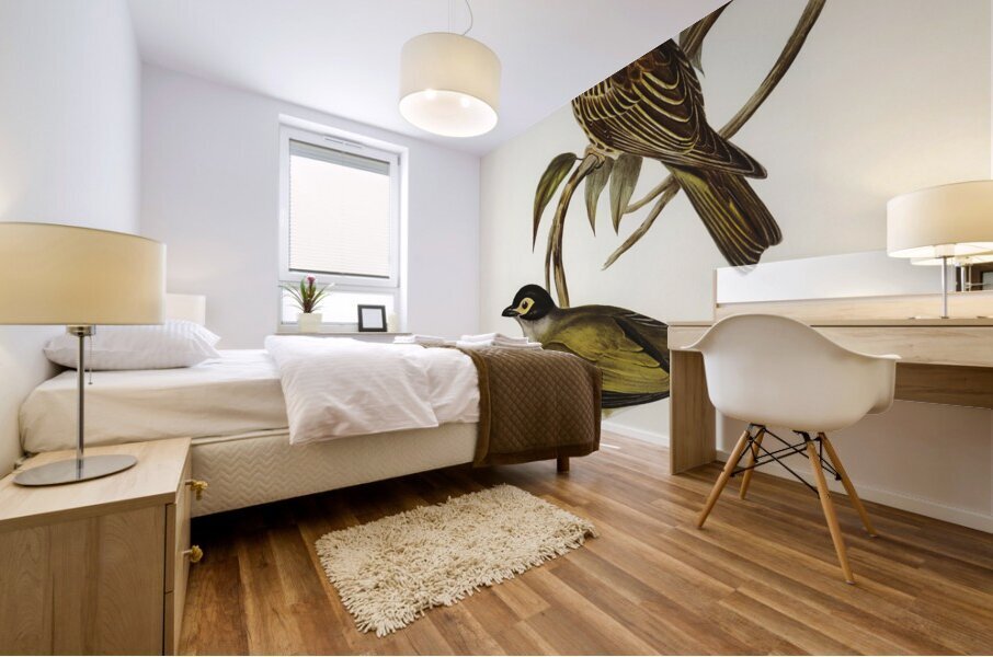 Australian Sphecotheres Sphecotheres Australis illustrated by Elizabeth Gould 1804–1841 for John Gould’s 1804-1881 Birds of Australia  Mural print