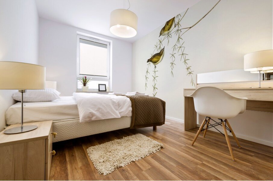 Australian Sphecotheres Sphecotheres Australis illustrated by Elizabeth Gould 1804–1841 for John Gould’s 1804-1881 Birds of Australia  Mural print