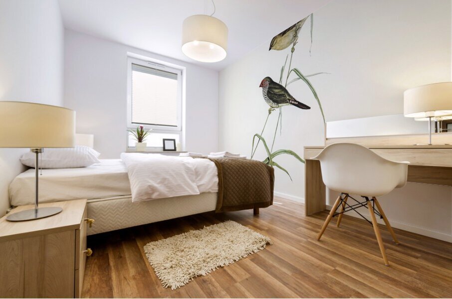 Red-tailed Finch Estrelda ruficauda illustrated by Elizabeth Gould 1804–1841 for John Gould’s 1804-1881 Birds of Australia  Mural print