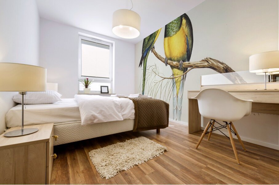 Bauers Parrakeet Platycercus Bauerii illustrated by Elizabeth Gould 1804–1841 for John Gould’s 1804-1881 Birds of Australia  Impression murale