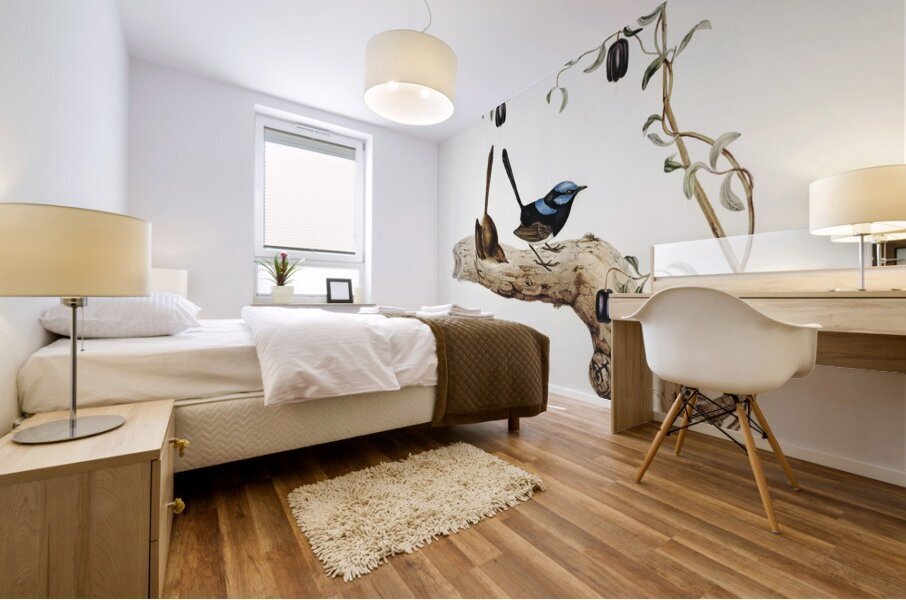 Long-tailed Wren Malurus longicaudus illustrated by Elizabeth Gould 1804–1841 for John Gould’s 1804-1881 Birds of Australia  Mural print