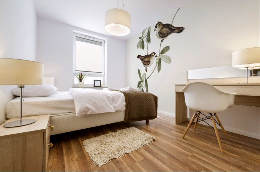 White-faced Xerophila Xerophila leucopsis illustrated by Elizabeth Gould 1804–1841 for John Gould’s 1804-1881 Birds of Australia  Mural print