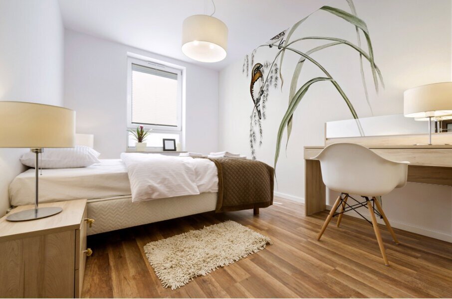 Chestnut-breasted Finch Donacola castaneothorax illustrated by Elizabeth Gould 1804–1841 for John Gould’s 1804-1881 Birds of Australia  Mural print