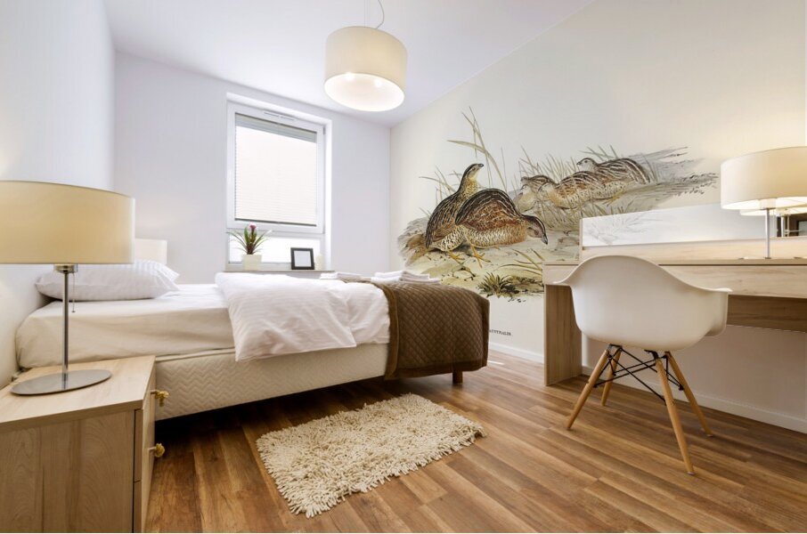 Chestnut-breasted Finch Donacola castaneothorax illustrated by Elizabeth Gould 1804–1841 for John Gould’s 1804-1881 Birds of Australia  Mural print