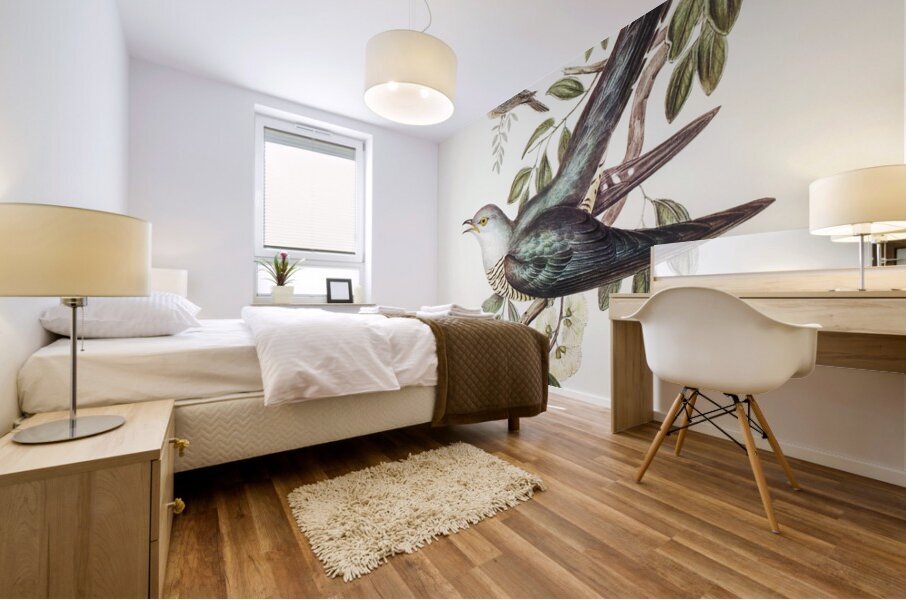 Chestnut-breasted Finch Donacola castaneothorax illustrated by Elizabeth Gould 1804–1841 for John Gould’s 1804-1881 Birds of Australia  Mural print