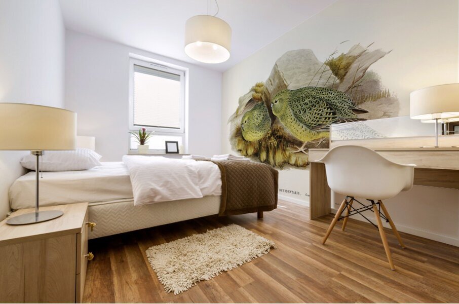 Nocturnal Ground-Parakeet Geopsittacus occidentalis illustrated by Elizabeth Gould 1804–1841 for John Gould’s 1804-1881 Birds of Australia  Mural print