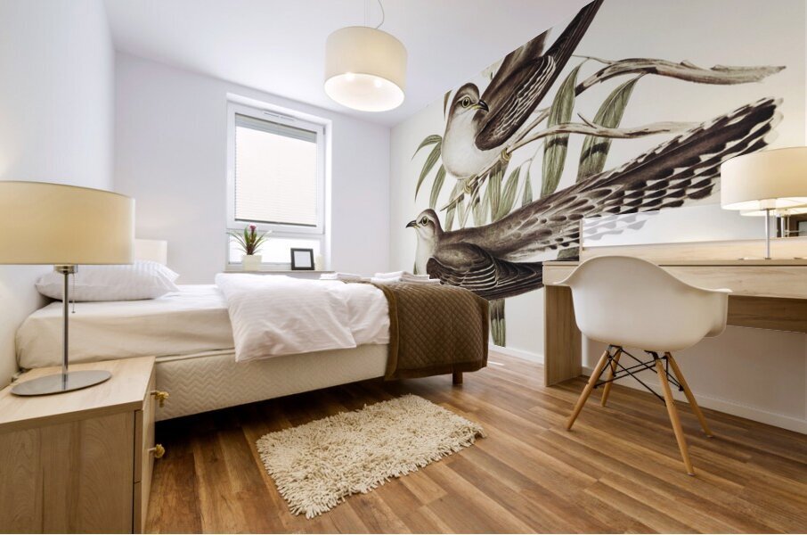 Unadorned Cuckoo Cuculus inornatus illustrated by Elizabeth Gould 1804–1841 for John Gould’s 1804-1881 Birds of Australia  Mural print