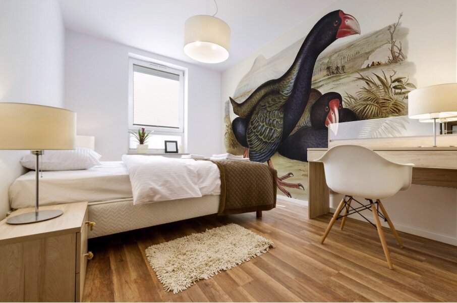 Notornis Notornix Mantelli illustrated by Elizabeth Gould 1804–1841 for John Gould’s 1804-1881 Birds of Australia  Mural print