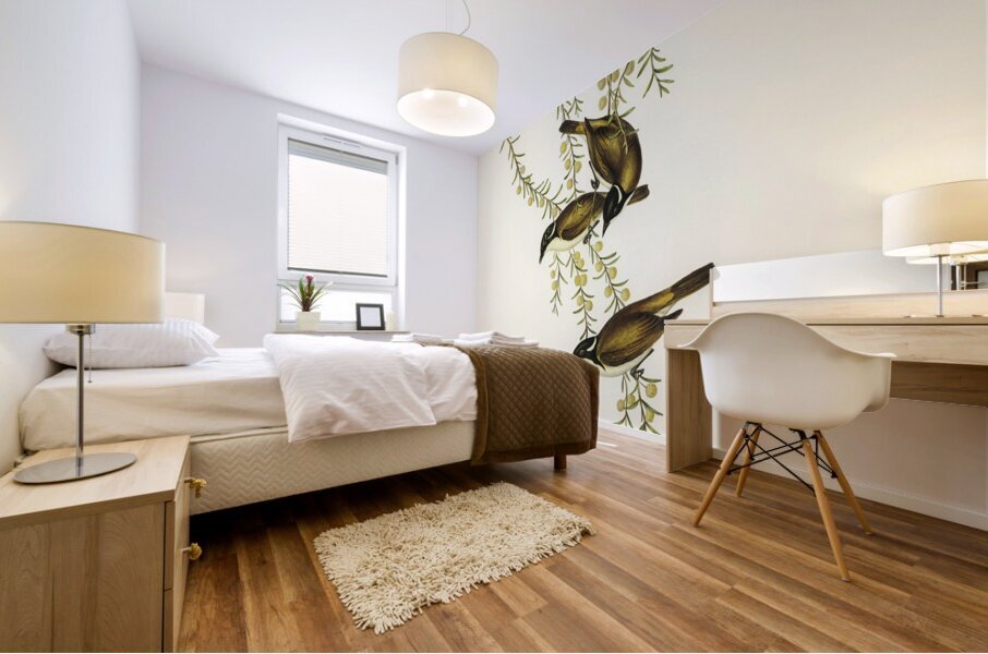 White-throated Honey-eater Melithreptus albogularis illustrated by Elizabeth Gould 1804–1841 for John Gould’s 1804-1881 Birds of Australia  Mural print