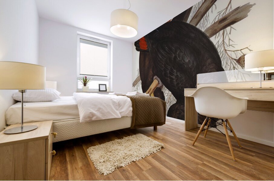 Leachs Cockatoo Calyptorhynchus Leachii illustrated by Elizabeth Gould 1804–1841 for John Gould’s 1804-1881 Birds of Australia  Mural print