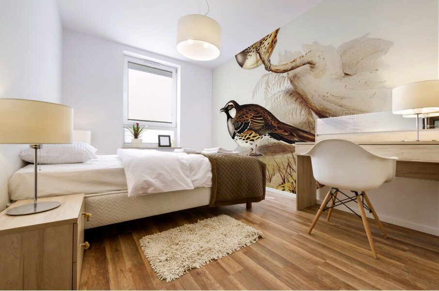 Spotted Groud Thrush Cinclosoma punctatum illustrated by Elizabeth Gould 1804–1841 for John Gould’s 1804-1881 Birds of Australia  Mural print