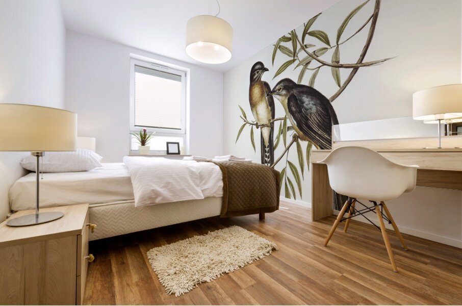 Brush Cuckoo Cuculus insperatus illustrated by Elizabeth Gould 1804–1841 for John Gould’s 1804-1881 Birds of Australia  Mural print