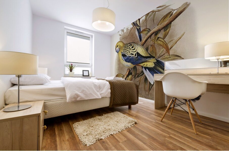 Blue-cheeked Parakeet Platycercus cyanogenys illustrated by Elizabeth Gould 1804–1841 for John Gould’s 1804-1881 Birds of Australia  Mural print