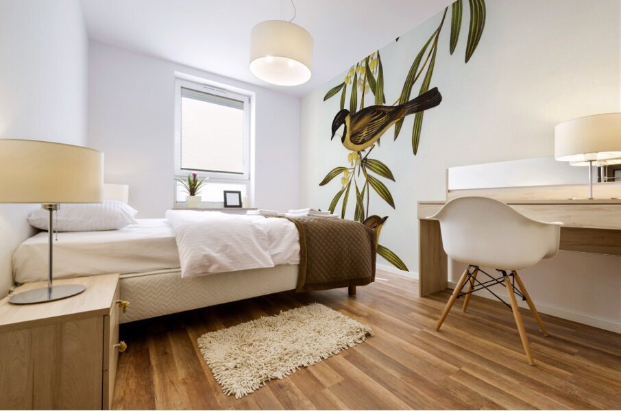 Guttural Pachycephala Pachycephala gutturalis illustrated by Elizabeth Gould 1804–1841 for John Gould’s 1804-1881 Birds of Australia  Mural print