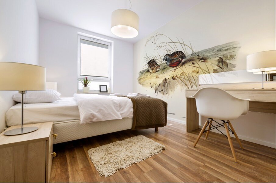 Chinese Quail Synoicus Chinensis illustrated by Elizabeth Gould 1804–1841 for John Gould’s 1804-1881 Birds of Australia  Mural print