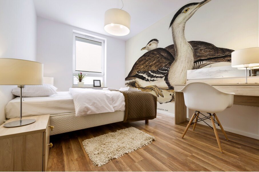 Australian Bustard Otis Australasianus illustrated by Elizabeth Gould 1804–1841 for John Gould’s 1804-1881 Birds of Australia  Mural print