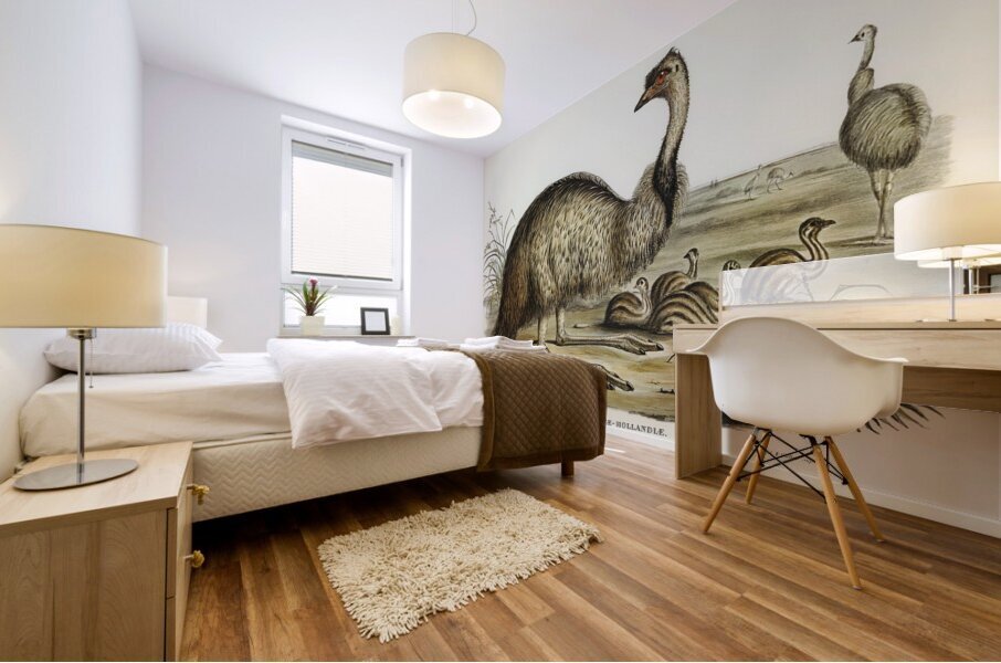 The Emu Dromaius Novae-Hollandiae illustrated by Elizabeth Gould 1804–1841 for John Gould’s 1804-1881 Birds of Australia  Mural print