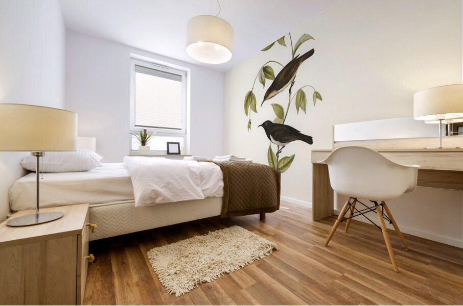 Black Honey-eater Myzomela nigra illustrated by Elizabeth Gould 1804–1841 for John Gould’s 1804-1881 Birds of Australia  Mural print