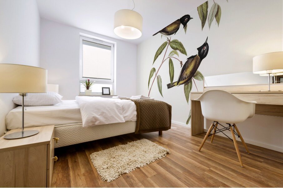 Black-headed Honey-eater Melthreptus melanocephalus illustrated by Elizabeth Gould 1804–1841 for John Gould’s 1804-1881 Birds of Australia  Mural print