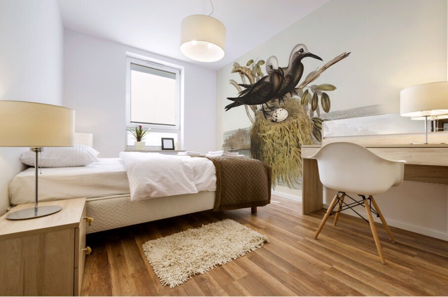 Lesser Noddy Anous melanops illustrated by Elizabeth Gould 1804–1841 for John Gould’s 1804-1881 Birds of Australia  Mural print