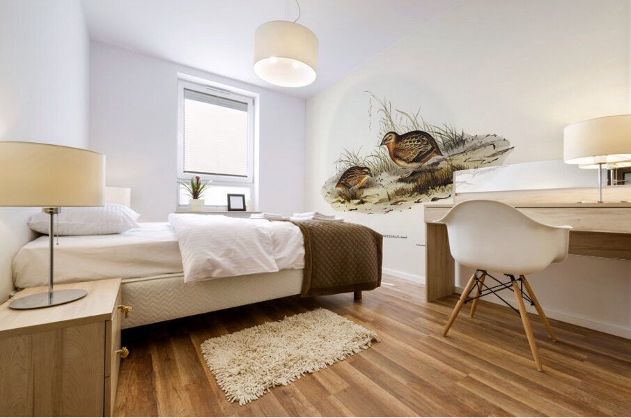 Chestnut-bellied Rail Eulabeornis castaneoventris illustrated by Elizabeth Gould 1804–1841 for John Gould’s 1804-1881 Birds of Australia  Mural print