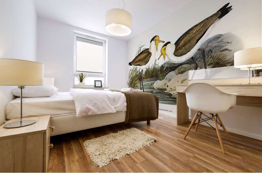 Masked Pewit Lobivanellus personatus illustrated by Elizabeth Gould 1804–1841 for John Gould’s 1804-1881 Birds of Australia  Mural print