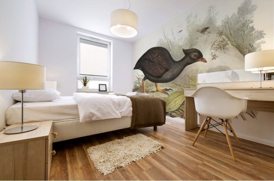 Mound-raising Megapode Megapodius Tumulus illustrated by Elizabeth Gould 1804–1841 for John Gould’s 1804-1881 Birds of Australia  Mural print