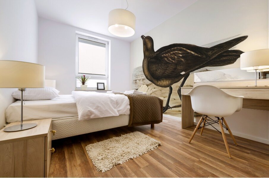 Skua Gull Lestris Catarractes illustrated by Elizabeth Gould 1804–1841 for John Gould’s 1804-1881 Birds of Australia  Mural print