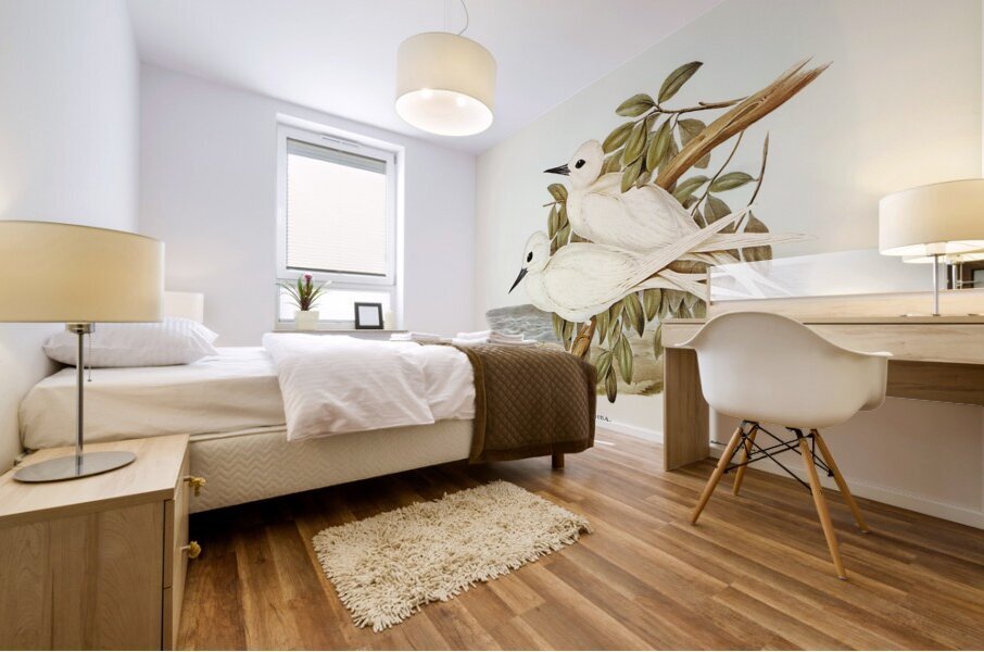 White Tern Gygis candida illustrated by Elizabeth Gould 1804–1841 for John Gould’s 1804-1881 Birds of Australia  Mural print