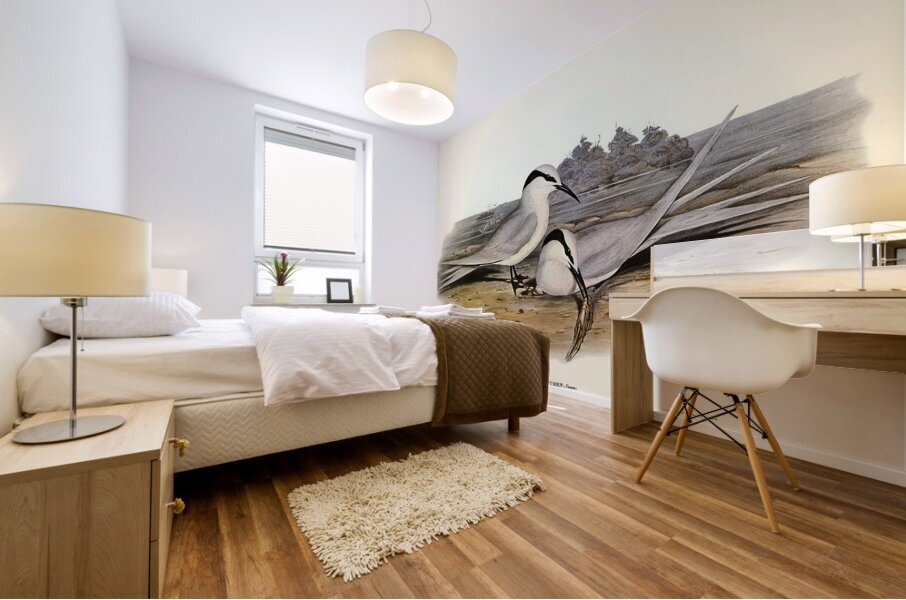 Black-naped Tern Sterna melanauchen illustrated by Elizabeth Gould 1804–1841 for John Gould’s 1804-1881 Birds of Australia  Mural print