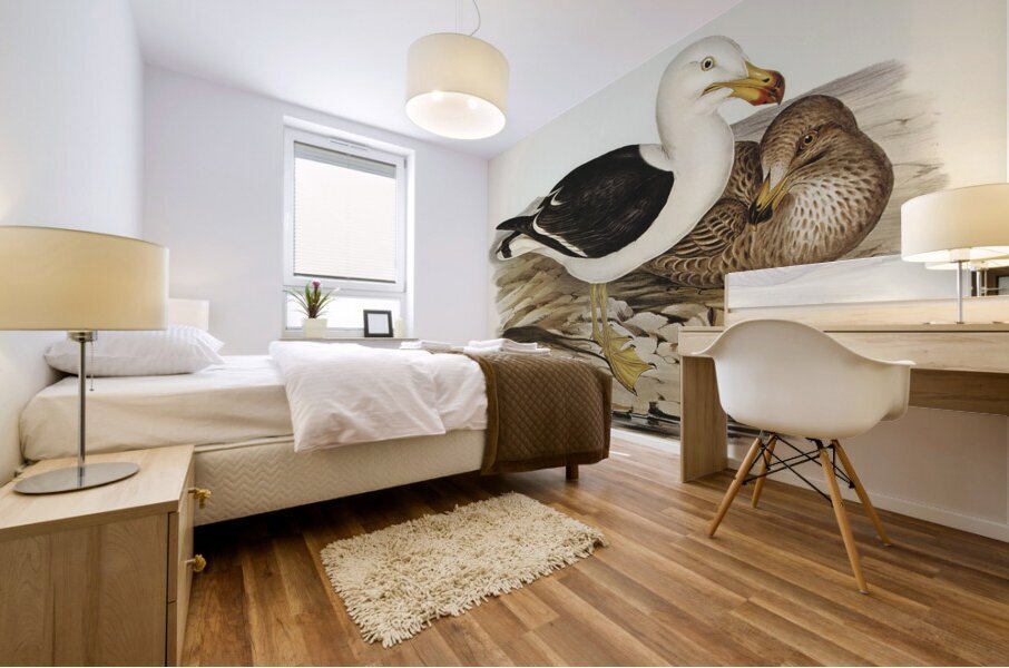 Pacific Gull Larus Pacificus illustrated by Elizabeth Gould 1804–1841 for John Gould’s 1804-1881 Birds of Australia  Mural print