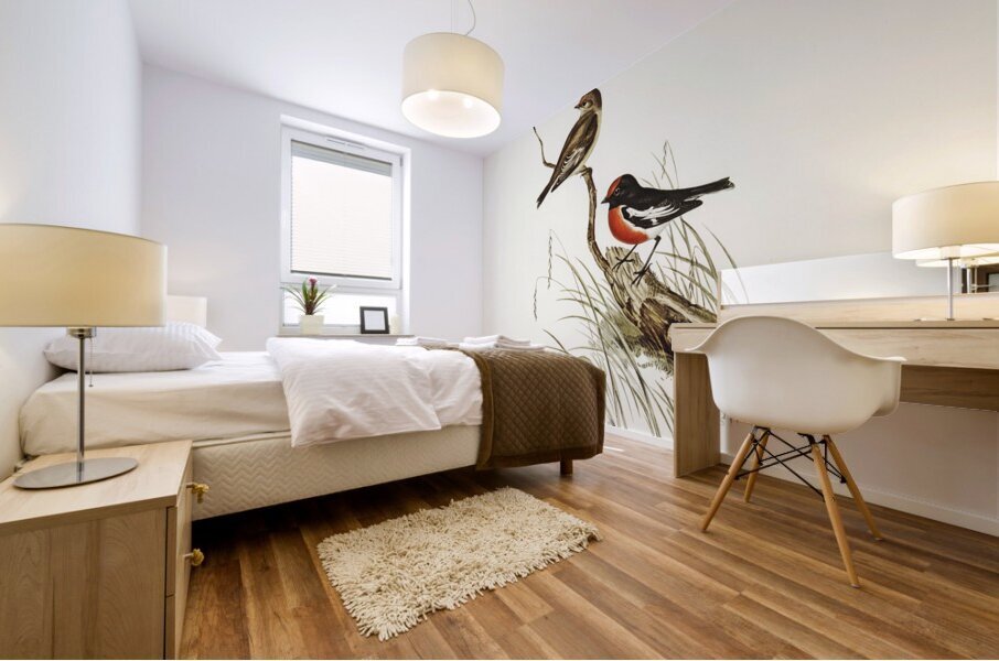 Red-capped Robin Petroica Goodenovii illustrated by Elizabeth Gould 1804–1841 for John Gould’s 1804-1881 Birds of Australia  Mural print