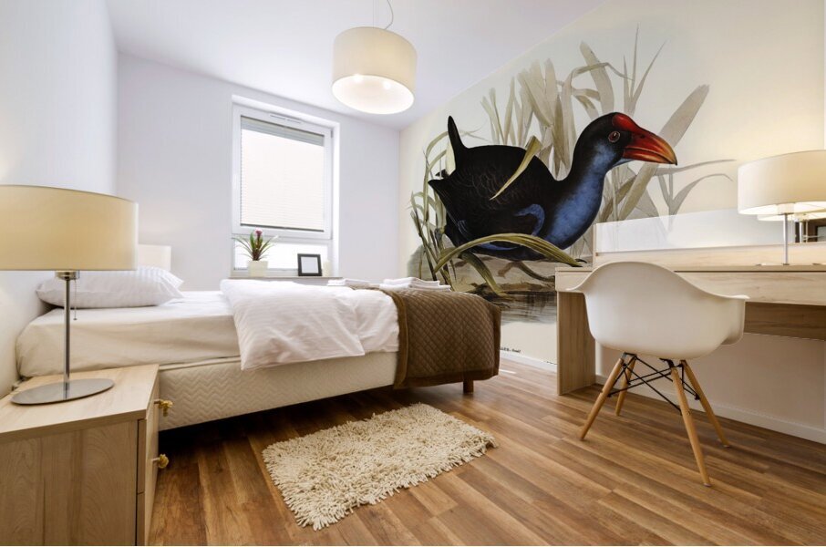 Zure-breasted Porphyrio Porphyrio bellus illustrated by Elizabeth Gould 1804–1841 for John Gould’s 1804-1881 Birds of Australia  Mural print