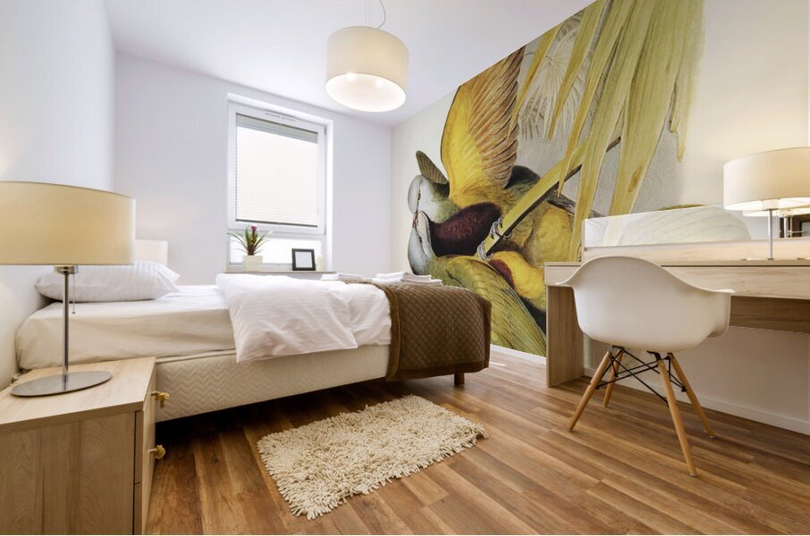 Spotless Gallinule Porzana immaculata illustrated by Elizabeth Gould 1804–1841 for John Gould’s 1804-1881 Birds of Australia  Mural print