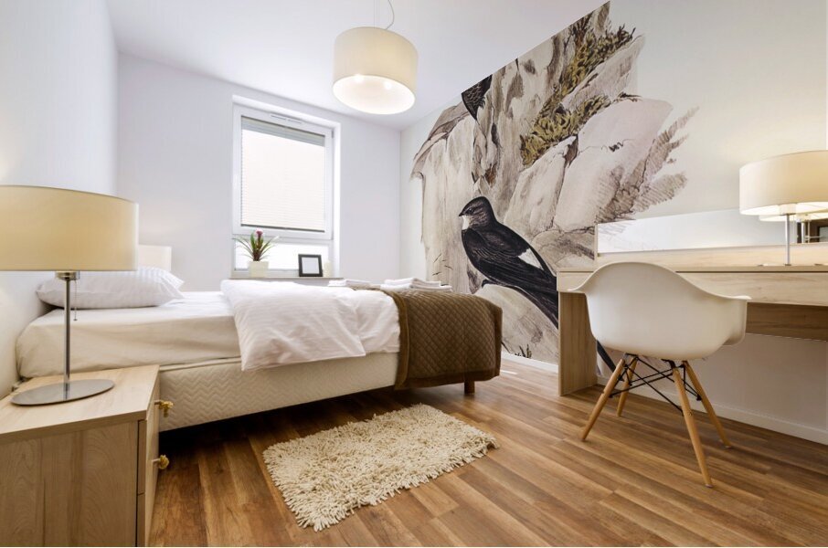 Australian Swift Cypselus Australis illustrated by Elizabeth Gould 1804–1841 for John Gould’s 1804-1881 Birds of Australia  Mural print