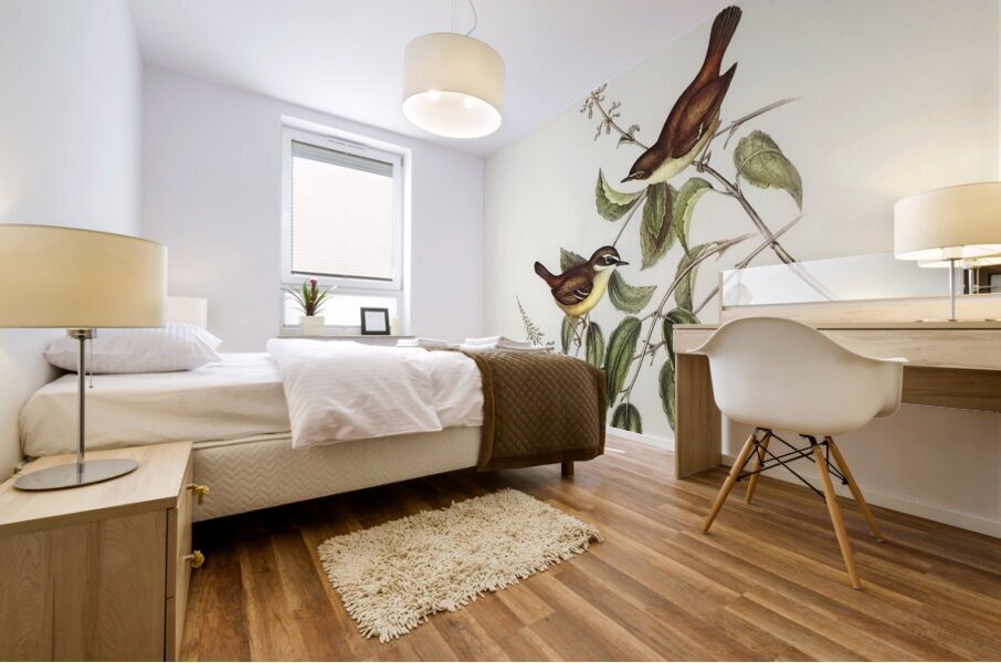 White-fronted Sericornis Sericornis frontalis illustrated by Elizabeth Gould 1804–1841 for John Gould’s 1804-1881 Birds of Australia  Mural print