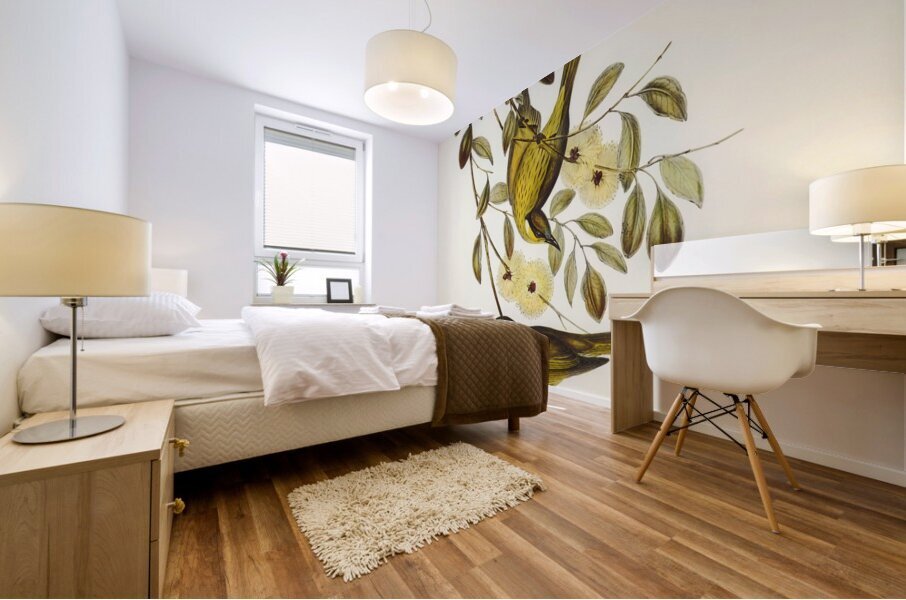 Varied Honey-eater Ptilotis versicolor illustrated by Elizabeth Gould 1804–1841 for John Gould’s 1804-1881 Birds of Australia  Mural print