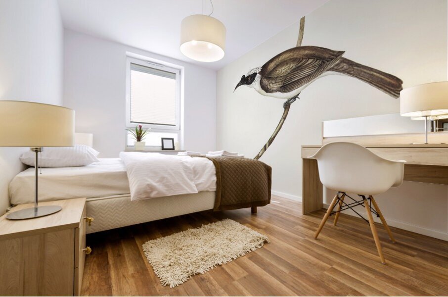 Silvery-crowned Friar Bird Tropidorhynchus argenticeps illustrated by Elizabeth Gould 1804–1841 for John Gould’s 1804-1881 Birds of Australia  Mural print