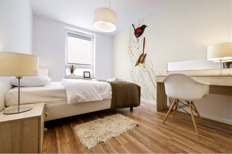 Brown’s Wren alurus Brownii illustrated by Elizabeth Gould 1804–1841 for John Gould’s 1804-1881 Birds of Australia  Mural print