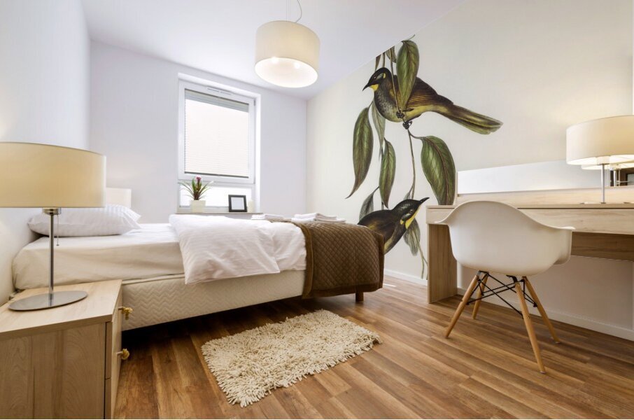 Yellow-throated Honey-eater Ptilotis flavigula illustrated by Elizabeth Gould 1804–1841 for John Gould’s 1804-1881 Birds of Australia  Mural print