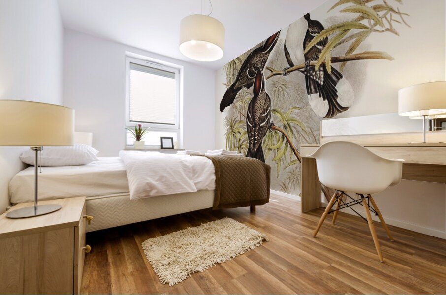 Chestnut-crowned Pomatorhinus Pomatorhinus ruficeps illustrated by Elizabeth Gould 1804–1841 for John Gould’s 1804-1881 Birds of Australia  Mural print