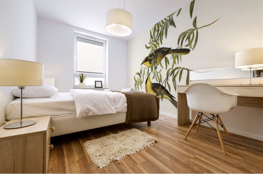 Yellow-tufted Honey-eater Ptilotis auricomis illustrated by Elizabeth Gould 1804–1841 for John Gould’s 1804-1881 Birds of Australia  Mural print