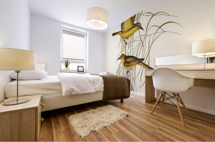 Yellow Honey-eater Ptilotis flava illustrated by Elizabeth Gould 1804–1841 for John Gould’s 1804-1881 Birds of Australia  Mural print