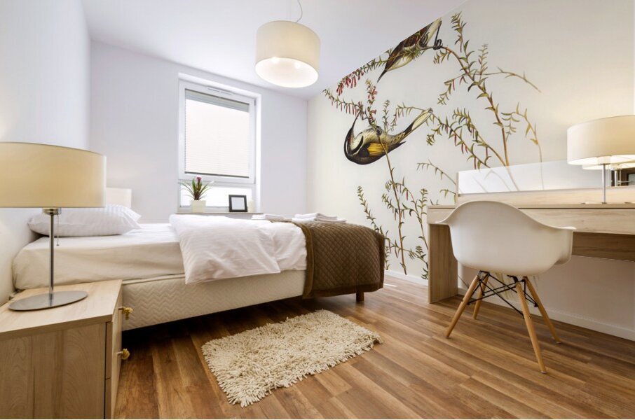 Tasmanian Honey-eater Meliphaga Australasiana illustrated by Elizabeth Gould 1804–1841 for John Gould’s 1804-1881 Birds of Australia  Mural print