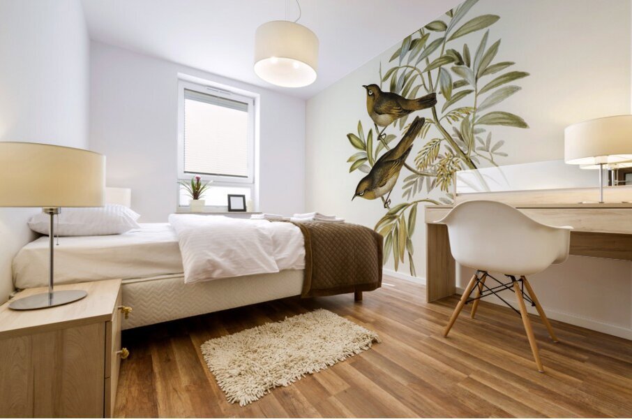 Grey-breasted Zosterops Zosterops tephropleurus illustrated by Elizabeth Gould 1804–1841 for John Gould’s 1804-1881 Birds of Australia  Mural print