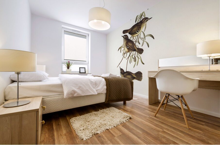 Allied Sericornis Ericornis osculans illustrated by Elizabeth Gould 1804–1841 for John Gould’s 1804-1881 Birds of Australia  Mural print