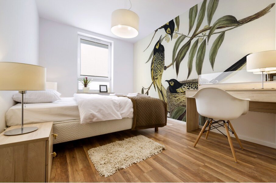 Warty-faced Honey-eater Zanthomyza Phrygia illustrated by Elizabeth Gould 1804–1841 for John Gould’s 1804-1881 Birds of Australia  Mural print