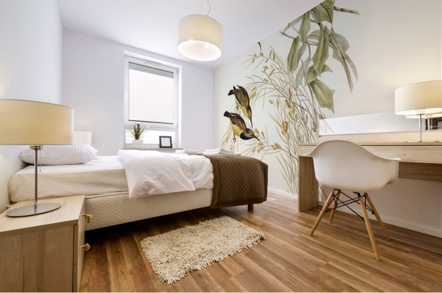 Australian Sun-bird Nectarinia australis illustrated by Elizabeth Gould 1804–1841 for John Gould’s 1804-1881 Birds of Australia  Mural print